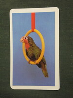 Kártyanaptár, ajándék üzletek, állatok sorozat, madár, papagáj, 1987,   (3)