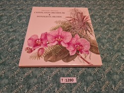 T1280 varga emma-bary zsuzsa wonderful orchids