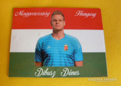 Dibusz denes Hungary refrigerator magnet