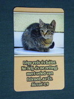 Card calendar, religion, animals series, cat, kitten, 2007, (3)