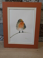 Contemporary (Szentendre) watercolor, robin / bird, with mount, without frame (24x30 cm)