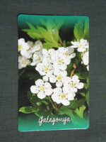 Card calendar, aranykehely pharmacy, Pécs, flower, hawthorn, 2018, (3)