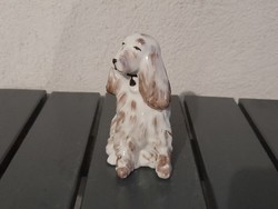 Szép Zsolnay ritka festésű spániel kutya
