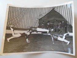 Za472.7 Graeser vilmos artista - acrobatic - 1960k 2 wildes -duo wiles circus circus circus