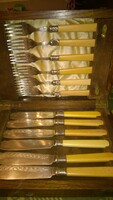 Action ! Antique English silver and metal fish cutlery set in a velvet-silk lined wooden box