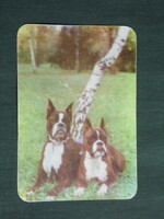 Card Calendar, Romania, Association of Romanian Dog Breeders, boxer dog, 1979, (4)