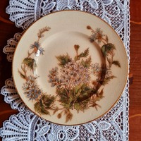 Gyönyörű kézzel festett antik fajansz Zsolnay tányér - ritka dekor