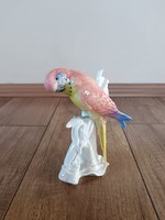 Antique porcelain parrot