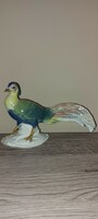 Rare, flawless ens volkstedt porcelain bird, pheasant