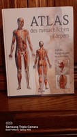 Német nyelvü anatómia ismertető ,szakkönyv sok képpel, KOPP  kiadvány  uj- atlasszerü-, nagy mérett