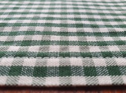 Checkered green tablecloth placemat