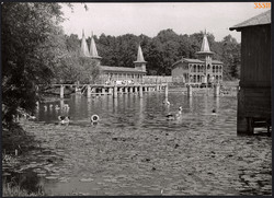 Larger size, photo art work by István Szendrő. Lake Hévíz, Zala county, 1930s.