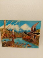 3D postcard, wild duck, mail order (even with free delivery)