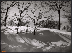 Nagyobb méret, Szendrő István fotóművészeti alkotása. Téli látkép, erdő, csendélet, tájkép, 1930-as