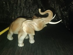 Royal dux porcelán elefánt