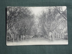 Képeslap, Postkarte, Col. A.B.E,N.  , France, Algérie, Tunisie, park részlet