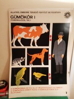 3 db állatorvosi szemléltető plakát