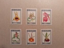 Flora of Suriname, Orchids 1984