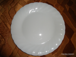 Bone white fine porcelain high quality large plate made in Japan flat plate diameter: 26.5 cm delivery