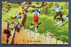 Old retro humorous graphic postcard cat - apple thief cats