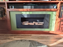 Bioethanol fireplace insert