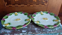 Pair of old Körmöcbánya plates