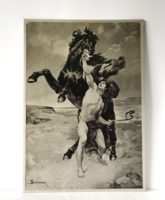 F. Schommer-Nagy Sándor - BUCEPHALUS TAMES - copperplate on aluminum sheet
