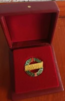 Excellent doctor enamel medal in original box