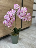 Beautiful maintenance-free orchid flower artificial plant
