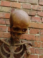 Valódi "antik" emberi anatómiai csontváz (anatomisches Skelett)