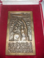 Bronze commemorative coin, 85 x 142 mm, 416 gr, in gift box