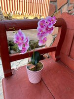 Kerámia kaspóban Gyönyörű gondozásmentes Orchidea virág műnövèny