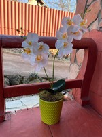 A beautiful maintenance-free orchid flower artificial plant in a ceramic pot