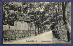 Székesfehérvár - Hosszú sétány  1913