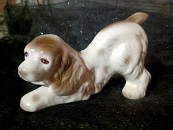 Nagyméretű porcelán kutyus