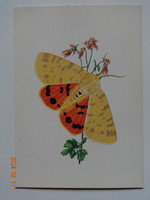 Old postage stamp graphic postcard: purple bear butterfly