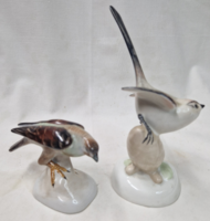 Aquincum porcelain birds with beautiful painting in flawless condition are sold together