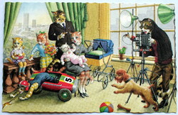 Old retro humorous graphic postcard cat family at the photographer