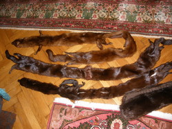 Mink 4 pieces of fur, collar, scarf together