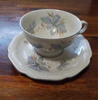 Hutschenreuther Bavarian porcelain cup and saucer
