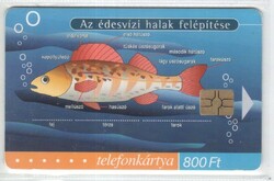 Hungarian phone card 1138 rifle 2001 biology 3 gem 7 28,200 Pcs