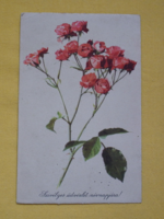 Old matte / litho postcard, smaller than average size, according to the pictures