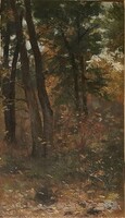 Pállya Celesztin (1864 - 1948) : Erdőrészlet