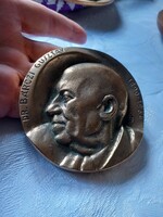 Dr. Bárczi Gusztáv  bronz plakett