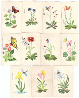 332. Flowers 11 cards