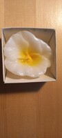 Flower-shaped candle in a box