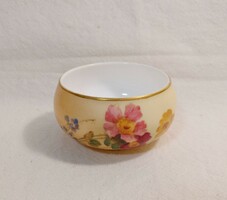 Rarity! Antique royal Worcester bone china from the 1920s