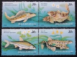 S4402-3c2 / 1997 protected domestic fish stamp series in post-clear pairs