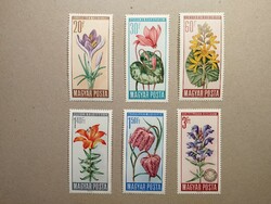 Hungary Nature Conservation, flowers 1966