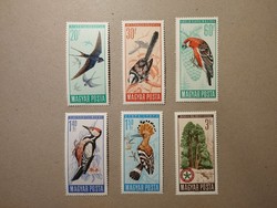 Hungarian nature conservation, birds 1966